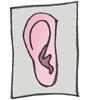 oreja