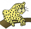 leopardo